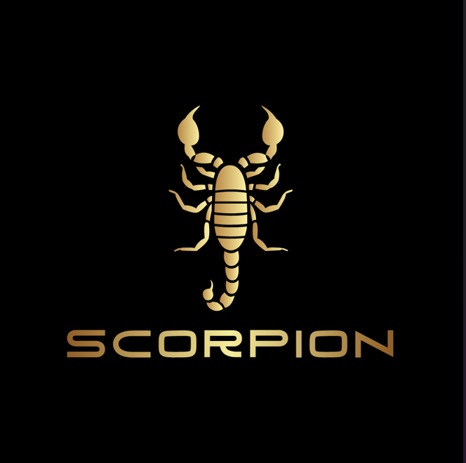 scorpion-ai.ch